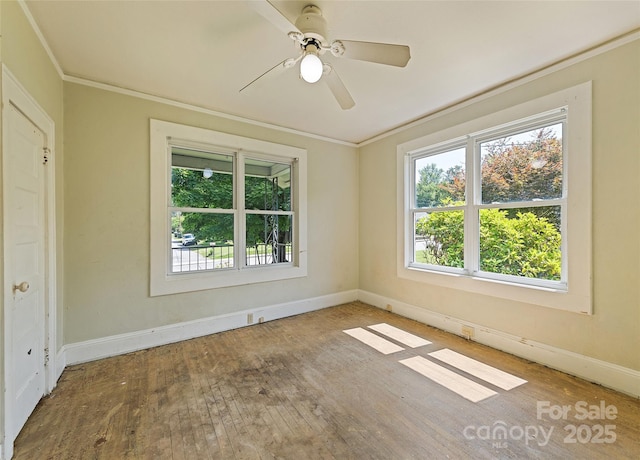 205 Hazelwood Ave, Waynesville, NC 28786 - photo 19