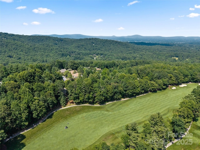 196 Pine Shadow Dr, Hendersonville, NC 28739 - photo 26