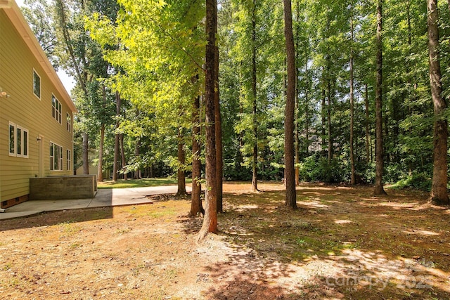8402 Aspen Ct, Charlotte, NC 28227 - photo 33