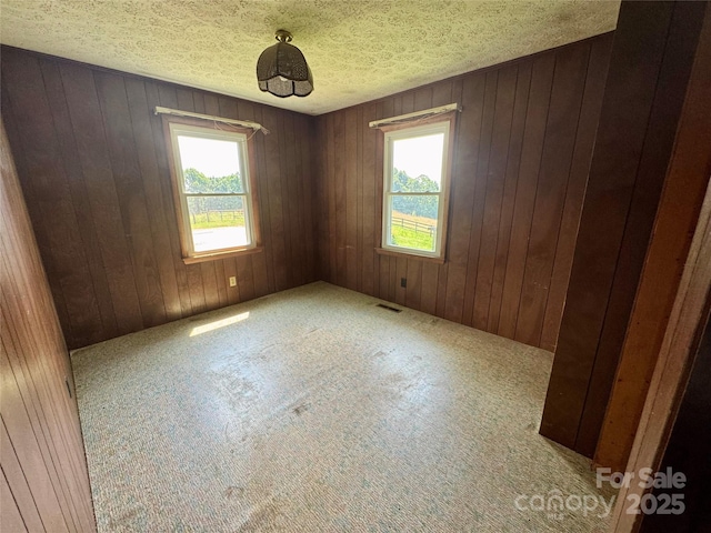 6369 Pinnacle Mountain Rd, Zirconia, NC 28806 - photo 9