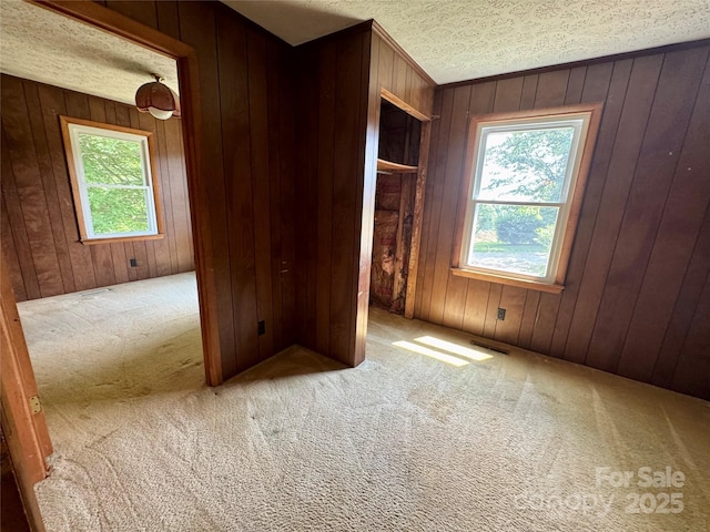 6369 Pinnacle Mountain Rd, Zirconia, NC 28806 - photo 10