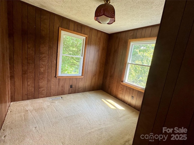 6369 Pinnacle Mountain Rd, Zirconia, NC 28806 - photo 11