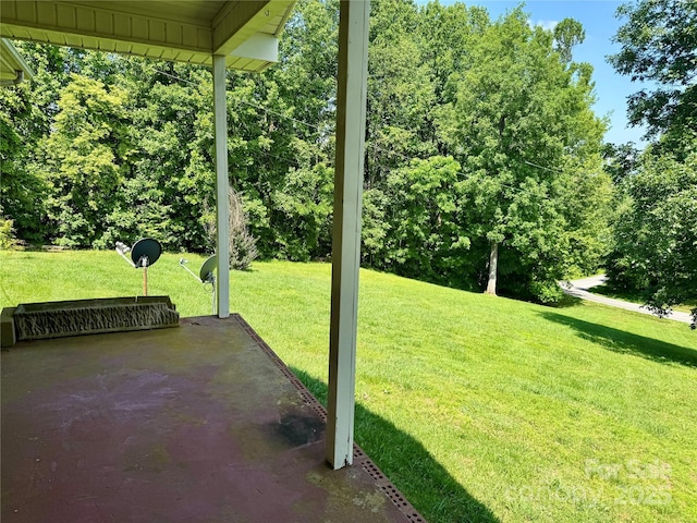 6369 Pinnacle Mountain Rd, Zirconia, NC 28806 - photo 19