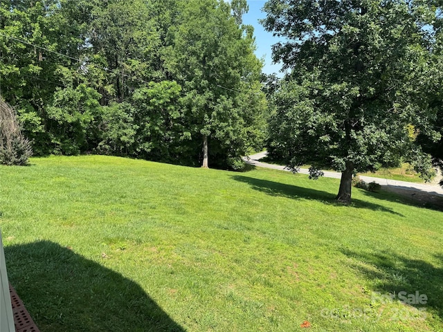 6369 Pinnacle Mountain Rd, Zirconia, NC 28806 - photo 20