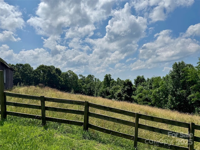 6369 Pinnacle Mountain Rd, Zirconia, NC 28806 - photo 28