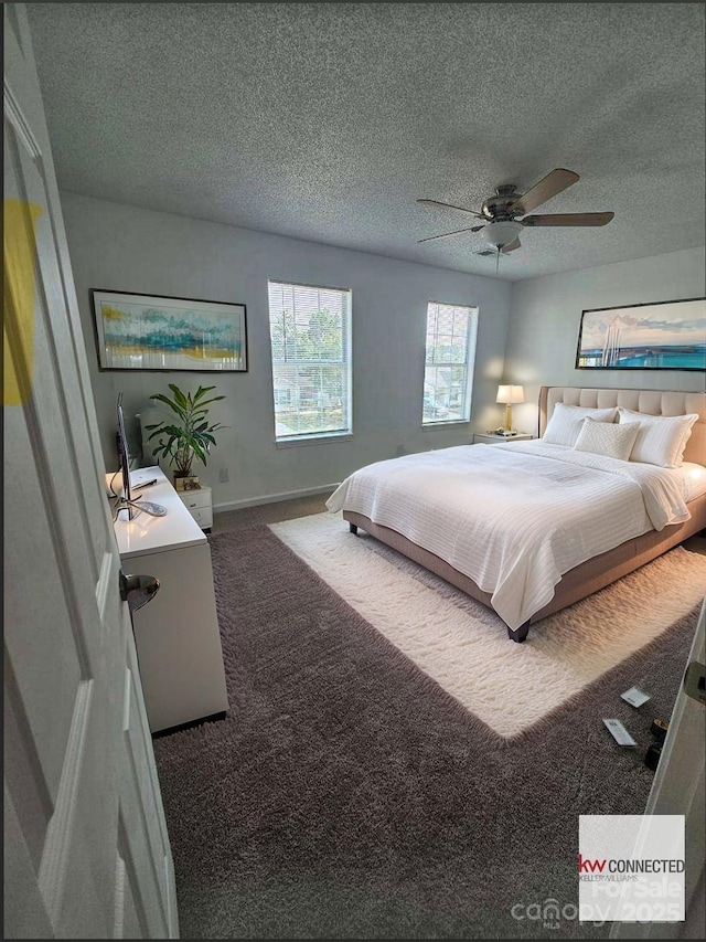 11 Long Glen Ct Unit 113, Columbia, SC 29229 - carpeted bedroom with a textured ceiling and a ceiling fan