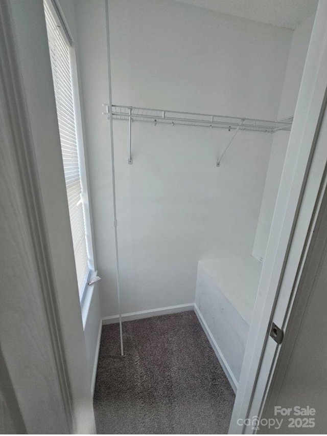 11 Long Glen Ct Unit 113, Columbia, SC 29229 - spacious closet with carpet floors