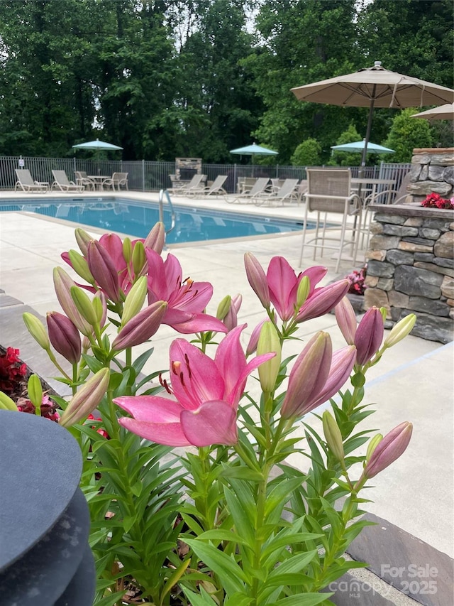 300 Vista Lake Dr Unit 301, Candler, NC 28715 - photo 15