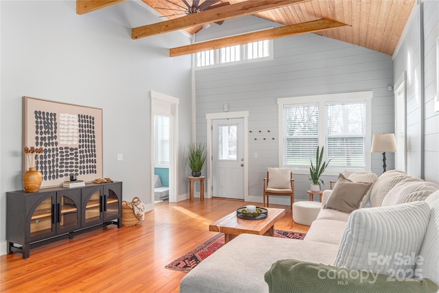24 Hanover St, Asheville, NC 28806 - photo 6