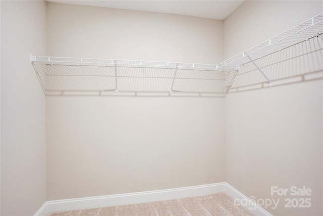 206 N Kayla Dr, Salisbury, NC 28146 - spacious closet featuring carpet