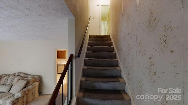 5 Auburndale Dr, Asheville, NC 28806 - photo 26