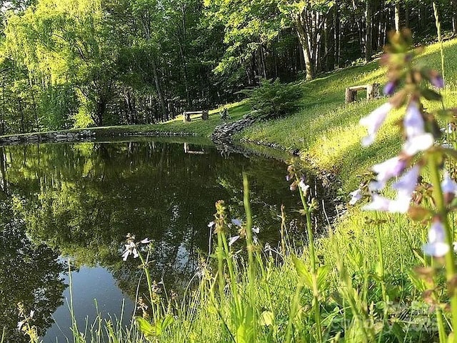 617 Norton Fork Rd, Hot Springs, NC 28743 - view of nature with a nearby body of water