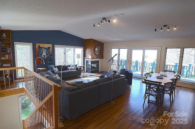 617 Norton Fork Rd, Hot Springs, NC 28743 - living area featuring dark wood-type flooring, vaulted ceiling, plenty of natural light, a textured ceiling, and rail lighting