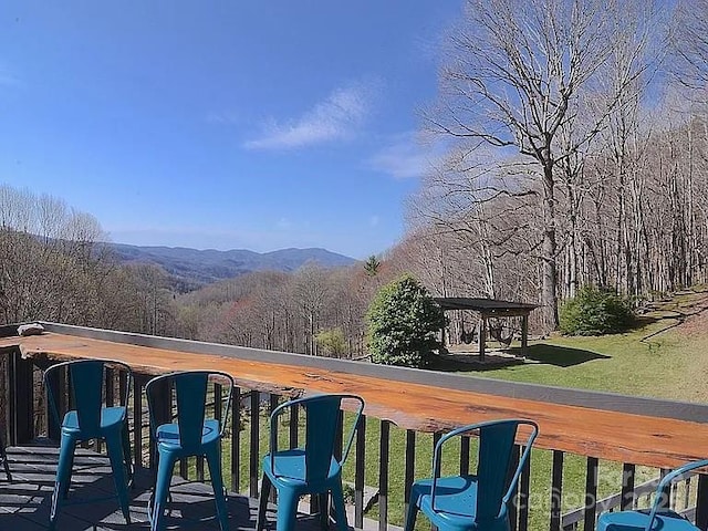 617 Norton Fork Rd, Hot Springs, NC 28743 - view of mountain backdrop