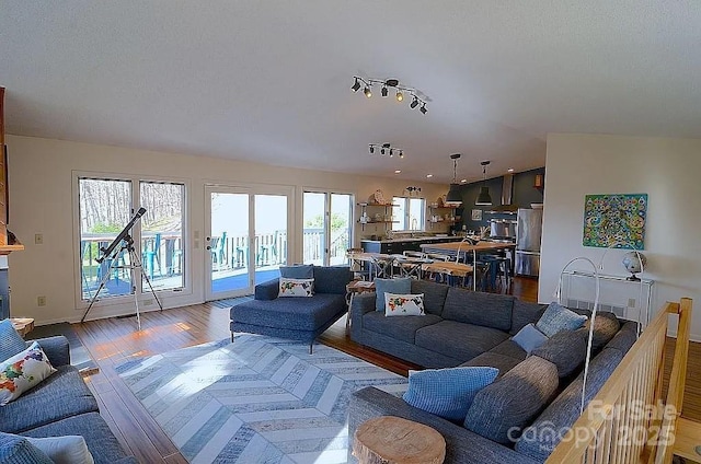 617 Norton Fork Rd, Hot Springs, NC 28743 - living area featuring wood finished floors and rail lighting