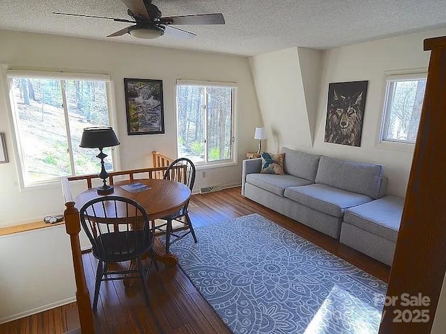 617 Norton Fork Rd, Hot Springs, NC 28743 - living room featuring wood finished floors, ceiling fan, and a textured ceiling
