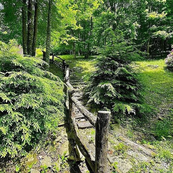 617 Norton Fork Rd, Hot Springs, NC 28743 - view of yard