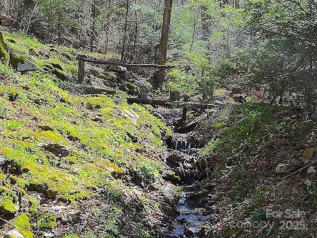 617 Norton Fork Rd, Hot Springs, NC 28743 - view of woods