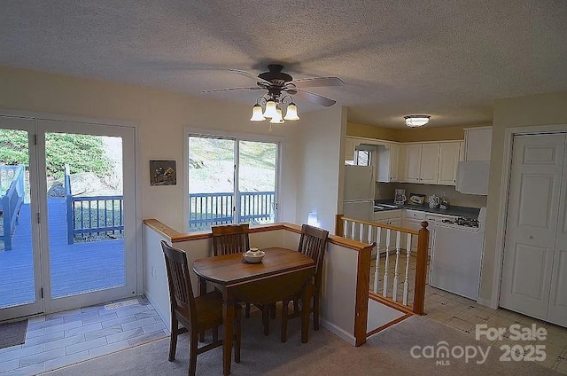 617 Norton Fork Rd, Hot Springs, NC 28743 - dining space featuring ceiling fan, healthy amount of natural light, a textured ceiling, and light tile patterned flooring