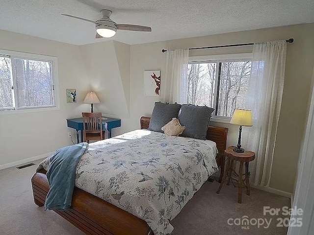 617 Norton Fork Rd, Hot Springs, NC 28743 - carpeted bedroom featuring multiple windows, ceiling fan, and a textured ceiling
