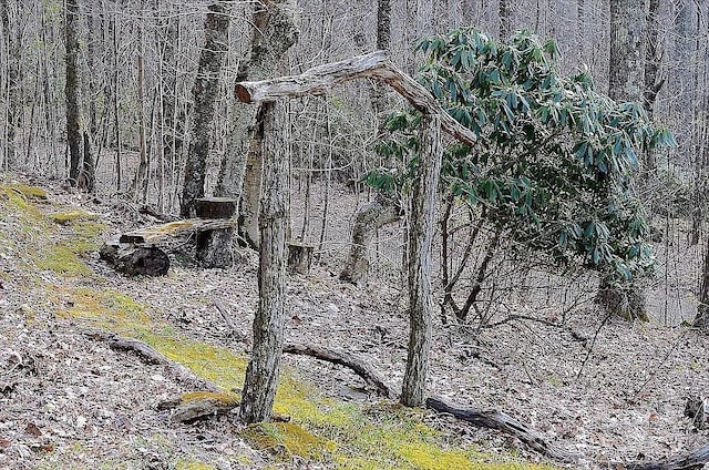617 Norton Fork Rd, Hot Springs, NC 28743 - view of nature