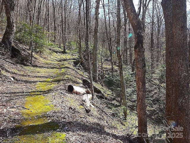 617 Norton Fork Rd, Hot Springs, NC 28743 - view of tree filled area