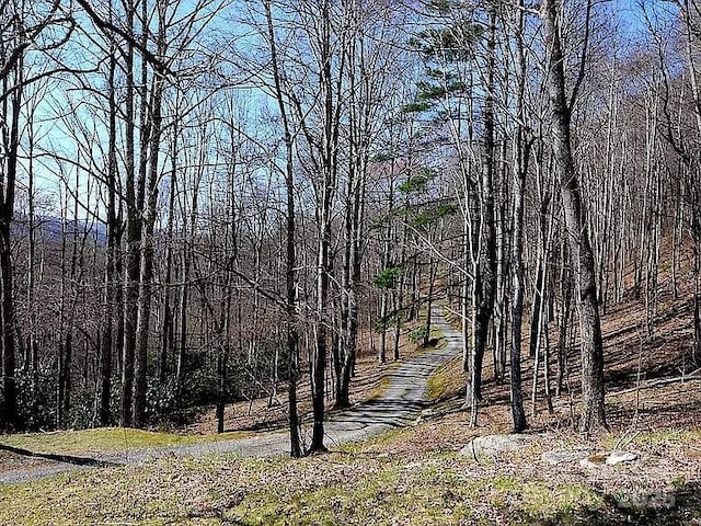 617 Norton Fork Rd, Hot Springs, NC 28743 - view of tree filled area