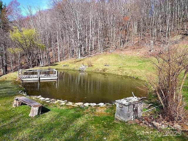 617 Norton Fork Rd, Hot Springs, NC 28743 - dock area featuring a water view