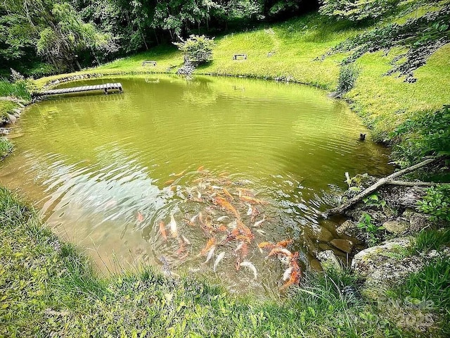 617 Norton Fork Rd, Hot Springs, NC 28743 - water view