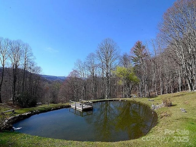 617 Norton Fork Rd, Hot Springs, NC 28743 - water view featuring a heavily wooded area and a dock