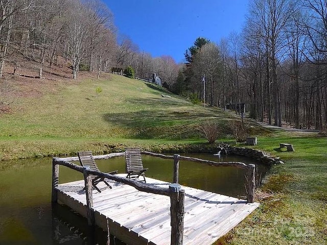 617 Norton Fork Rd, Hot Springs, NC 28743 - view of dock area
