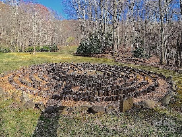 617 Norton Fork Rd, Hot Springs, NC 28743 - view of green lawn