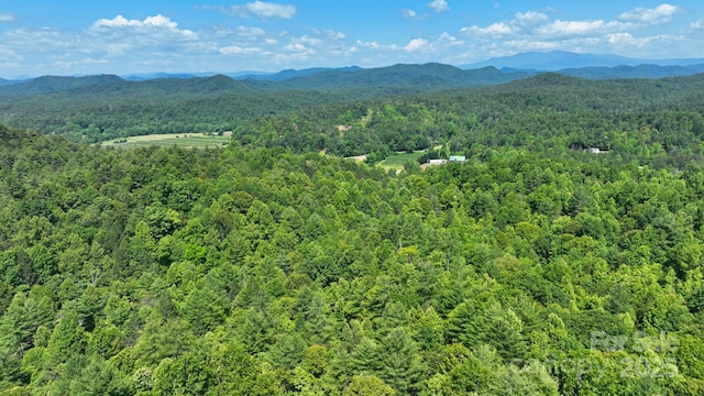 2967 Roby Martin Rd, Lenoir, NC 28645 - photo 30