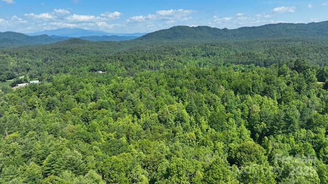 2967 Roby Martin Rd, Lenoir, NC 28645 - photo 31
