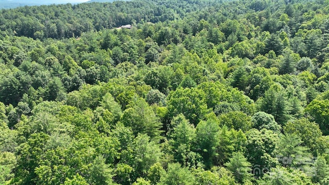 2967 Roby Martin Rd, Lenoir, NC 28645 - photo 32