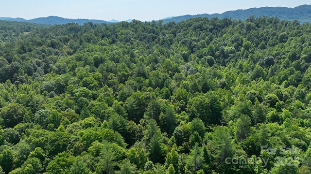 2967 Roby Martin Rd, Lenoir, NC 28645 - photo 34