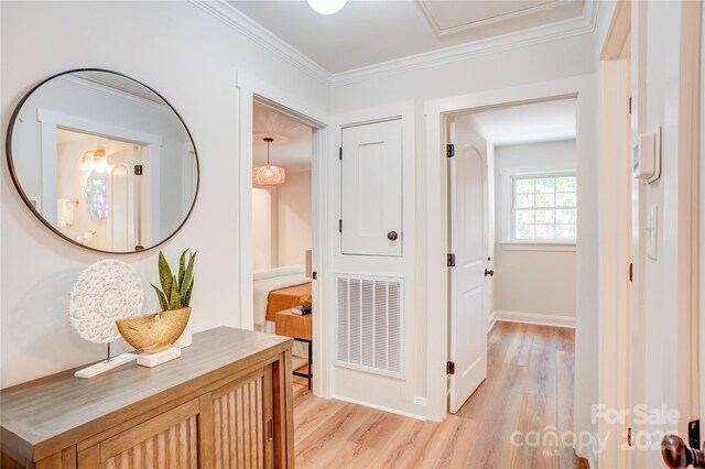 4226 Raney Way, Charlotte, NC 28205 - photo 10