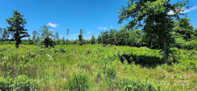 LOT1 Poors Ford Rd Unit 1, Rutherfordton, NC 28139