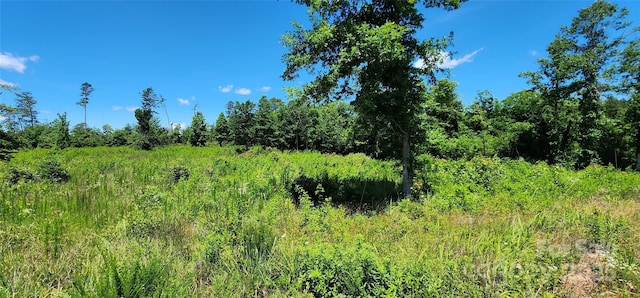LOT1 Poors Ford Rd Unit 1, Rutherfordton, NC 28139