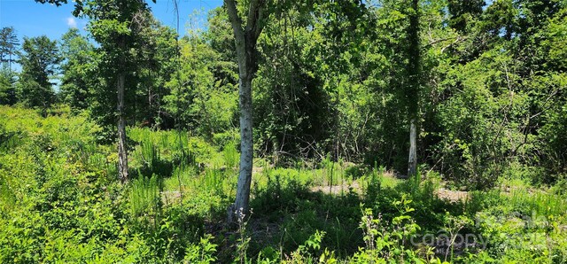 LOT1 Poors Ford Rd Unit 1, Rutherfordton, NC 28139
