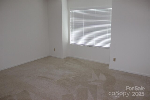 4 Gatehouse Ct, Asheville, NC 28803 - carpeted empty room featuring baseboards