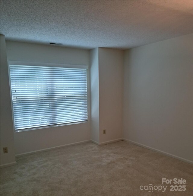 4 Gatehouse Ct, Asheville, NC 28803 - unfurnished room with carpet floors and a textured ceiling