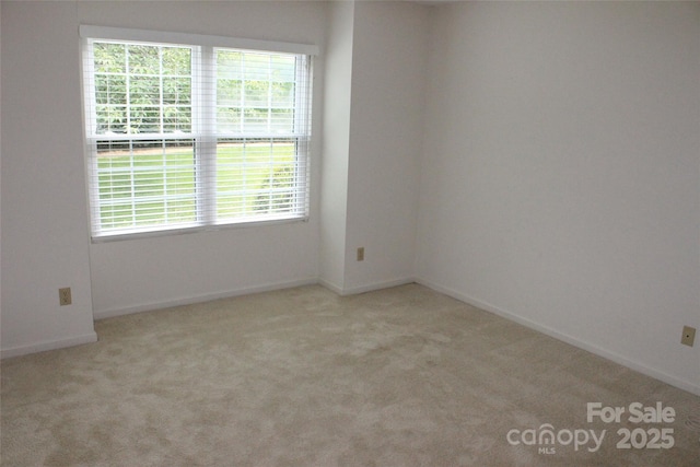 4 Gatehouse Ct, Asheville, NC 28803 - photo 15