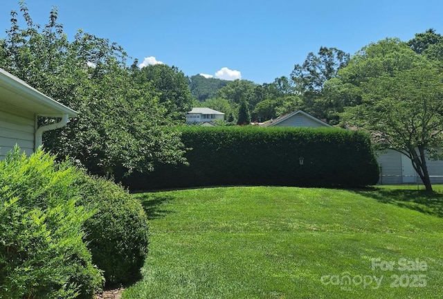 4 Gatehouse Ct, Asheville, NC 28803 - photo 19