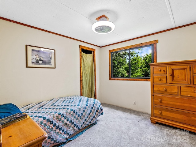 124 Cozy Cove Ln, Saluda, NC 28773 - photo 22