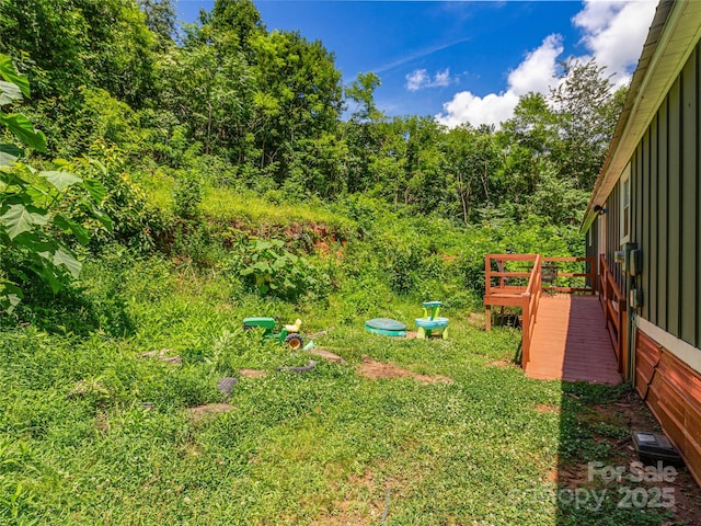 124 Cozy Cove Ln, Saluda, NC 28773 - photo 28