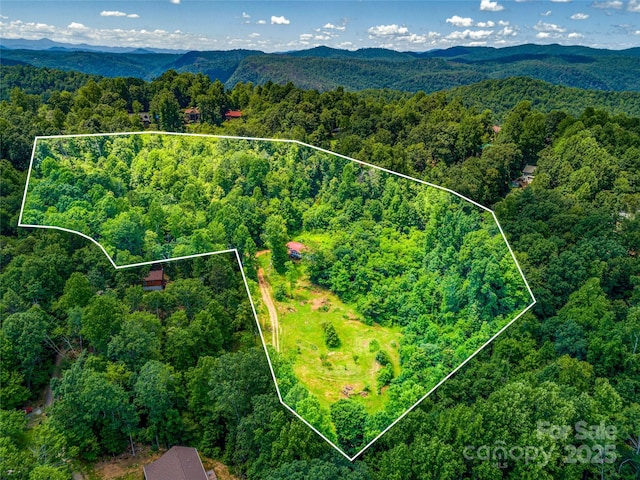 124 Cozy Cove Ln, Saluda, NC 28773 - photo 1