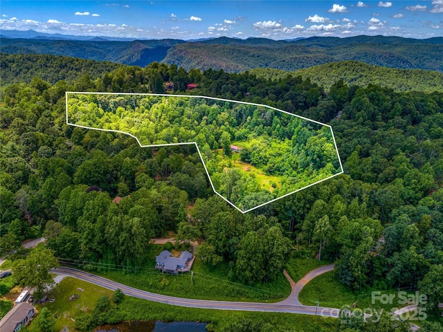 124 Cozy Cove Ln, Saluda, NC 28773 - photo 4