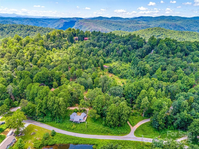 124 Cozy Cove Ln, Saluda, NC 28773 - photo 5