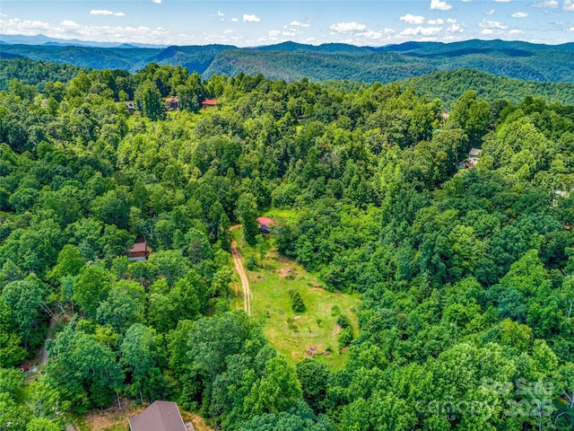 124 Cozy Cove Ln, Saluda, NC 28773 - photo 6